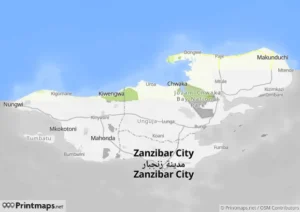 Kartenansicht Zanzibar Ost