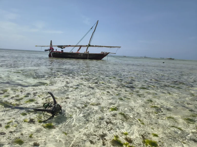 Dhow Holzsegelschiff vor Anker in Nungwi