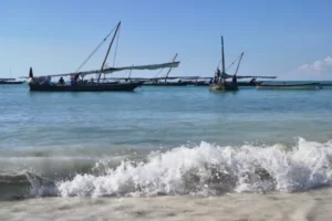 Boote_600x400