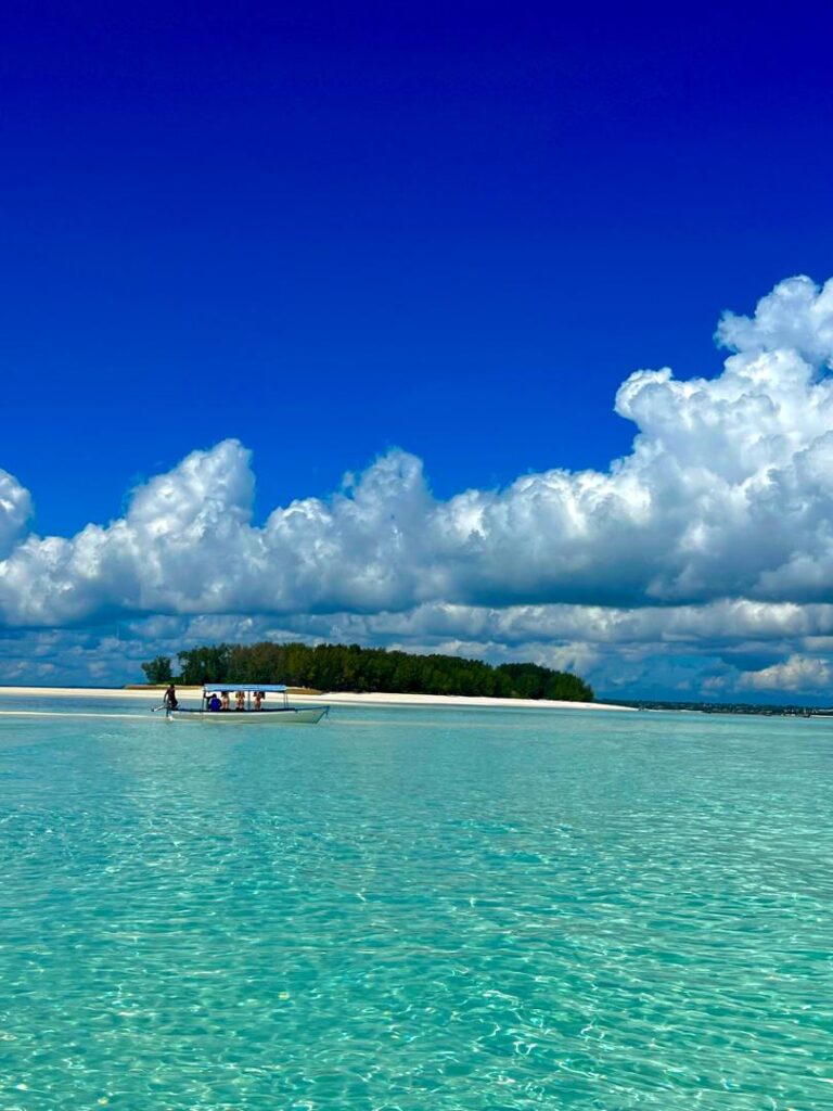 Mnemba Island