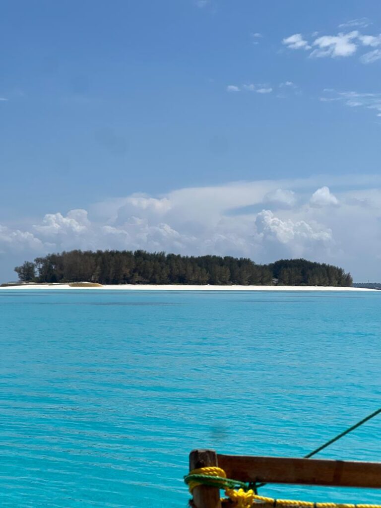 Mnemba Island