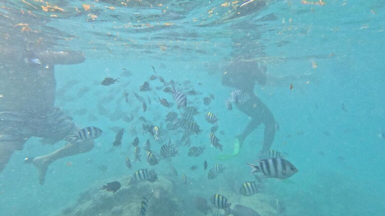 Snorkeling