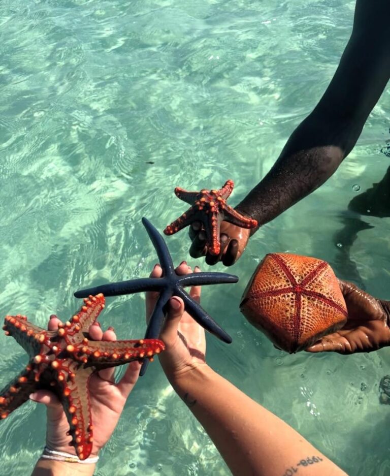 Starfish